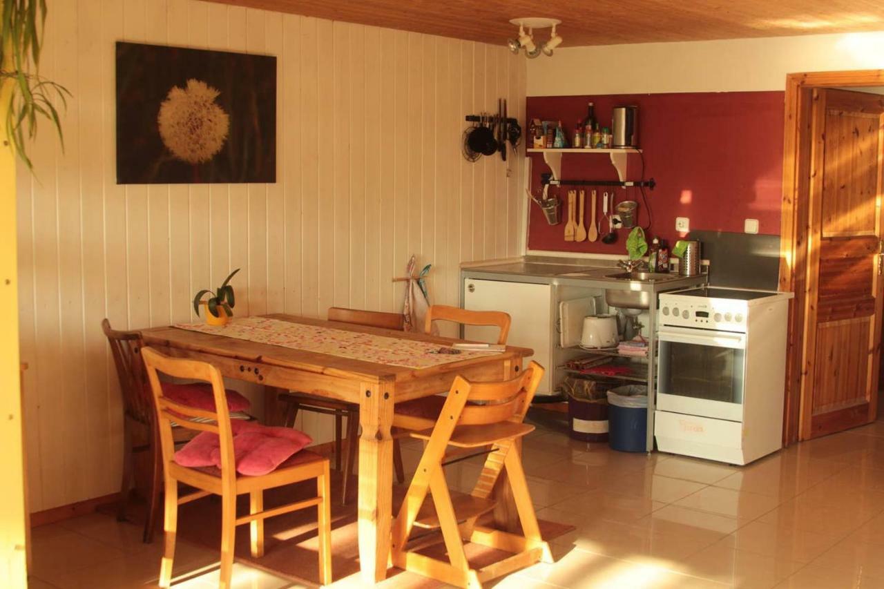 Amt Neuhaus Apartment Hof Schwalbennest מראה חיצוני תמונה