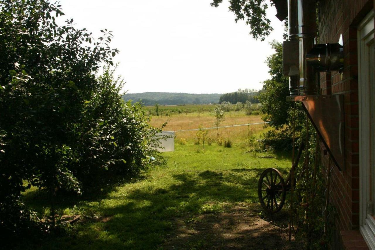 Amt Neuhaus Apartment Hof Schwalbennest מראה חיצוני תמונה